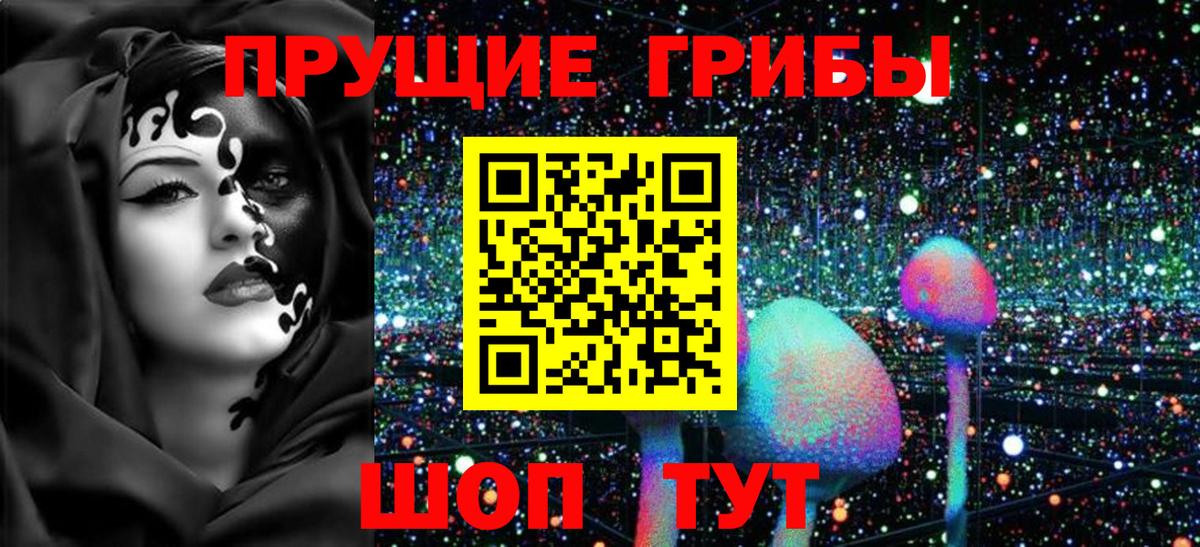 Абинск  Галлюциногенные грибы MAGIC MUSHROOMS  Вход с VPN 